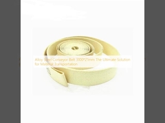 장착 테이프 컨베이어 벨트 3100*21mm 물자 운송에 대한 궁극적인 해결책